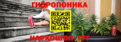 дурь Кандалакша