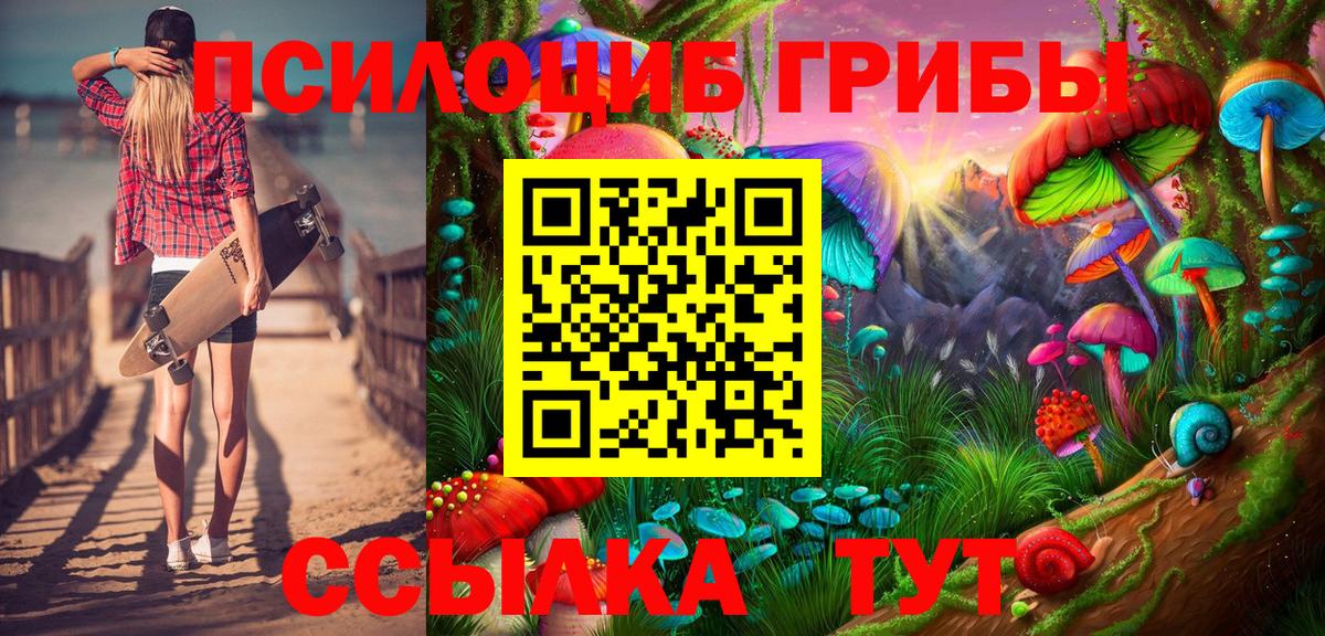 Галлюциногенные грибы Cubensis  Вход с VPN  Кыштым 